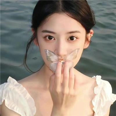 动物狂想曲第一季