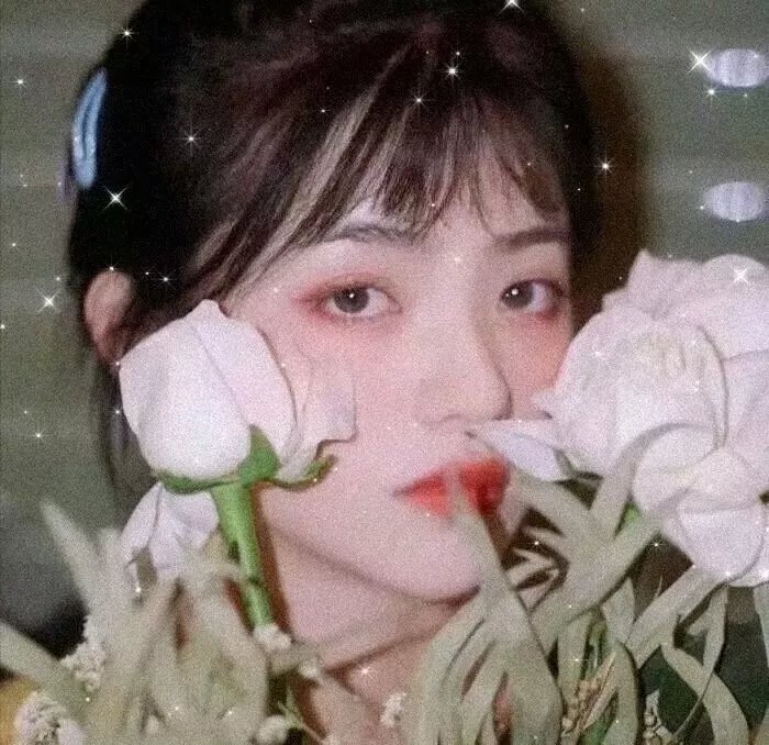 大坏狼